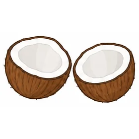 Two coconut halves