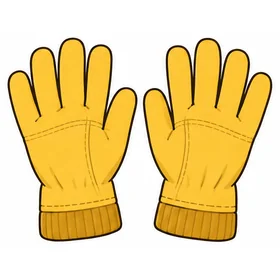 A pair of gloves