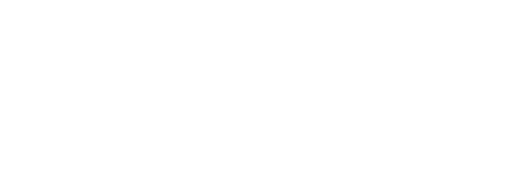 Pro Stylez Entertainment