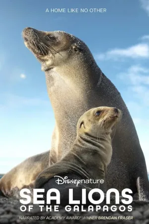 Disneynature: Sea Lions of the Galápagos movie poster