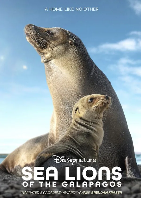 Disneynature: Sea Lions of the Galápagos movie poster